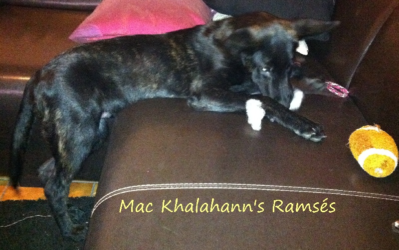 Mac Khalahann's 's g'ramses