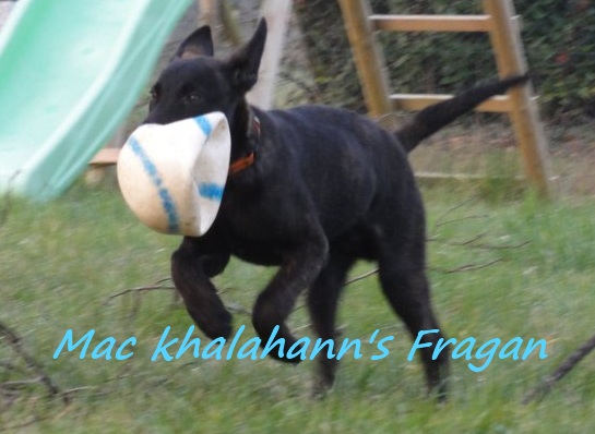 Mac Khalahann's 's fragan