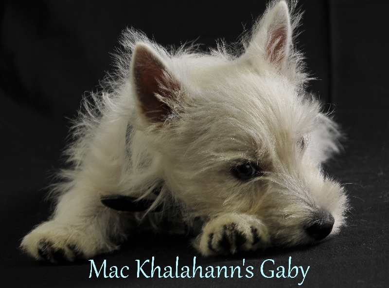 Mac Khalahann's 's gaby