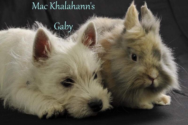 Mac Khalahann's 's gaby