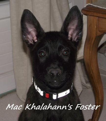 Mac Khalahann's 's foster