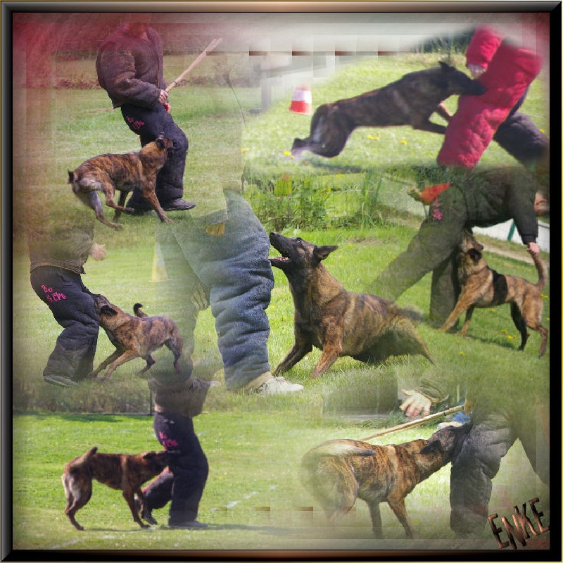 Mac Khalahann's Enke