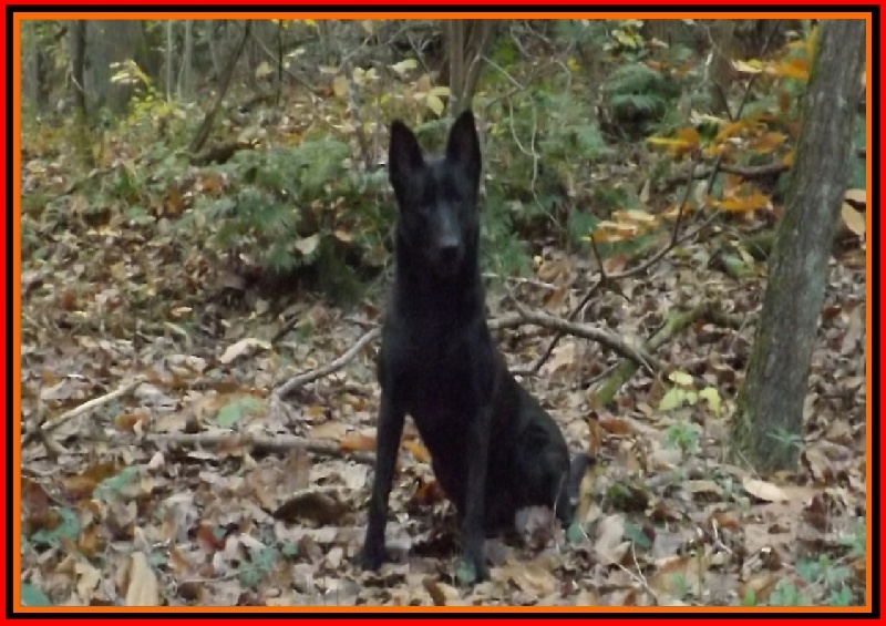 Mac Khalahann's Feria