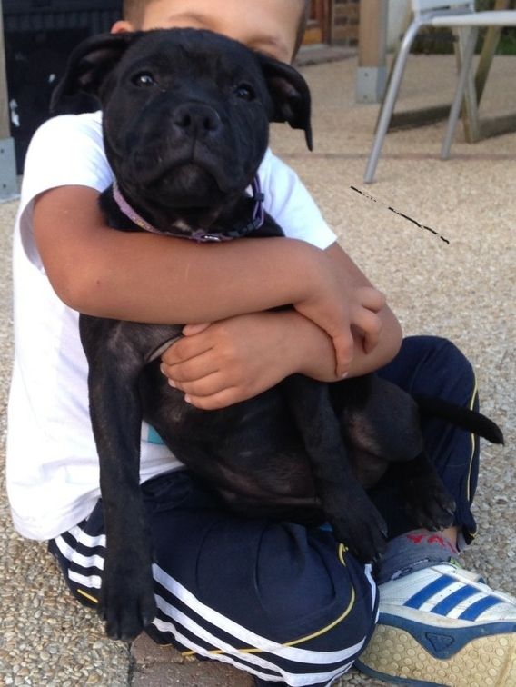 Little black demon Du Temple Des Gladiator'x