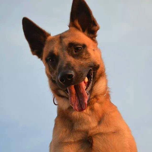 Mac Khalahann's Heiko